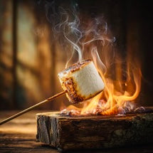 Fireside Treats